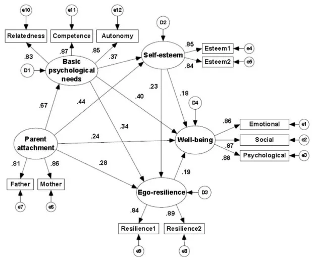 Figure  3.  Estimate  of  Standardized  Parameter  for  the  SR  Model