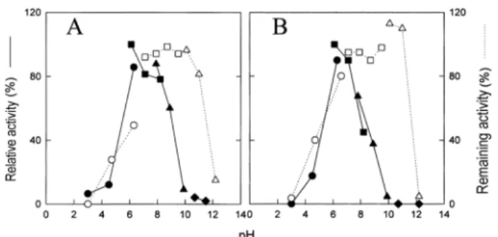 Fig. 5. Effect of pH on the relative or remaining activities of amylase A or B. A: amylase A, B: amylase B, circle: citrate buffer, rectangle: phosphate buffer, triangle: borate buffer, diamond:  KCl-NaOH buffer.