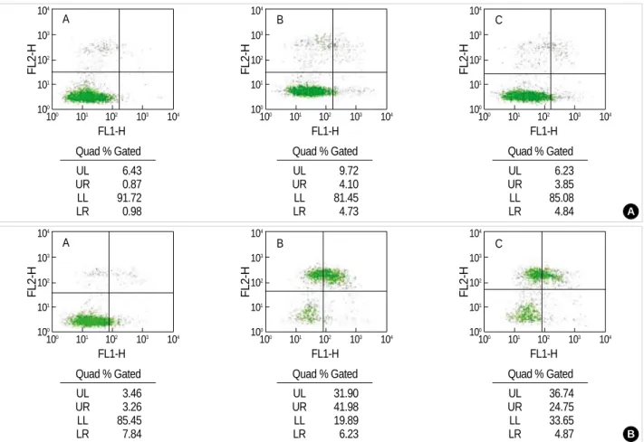 Fig. 3. Bivariate PI/annexin V analysis of the CRL-1690 cells during the reperfusion for 24 hr