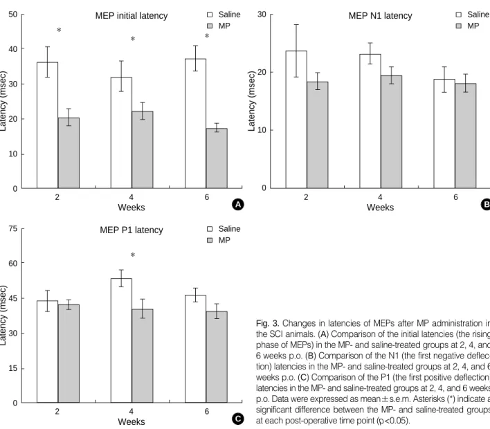 Fig. 3 shows changes in the latencies and amplitudes of MEPs after a MP administration in the SCI animals