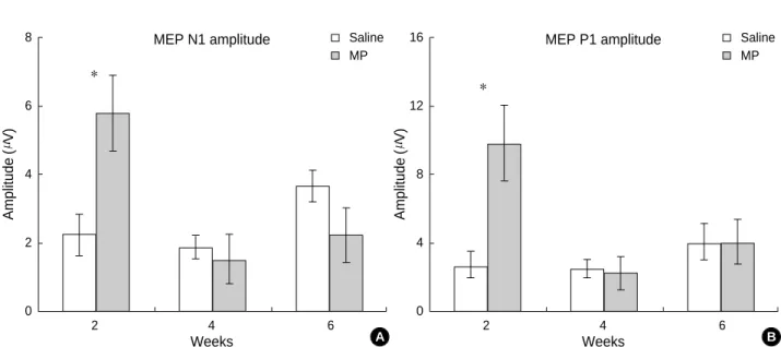 Fig. 4. Changes in amplitudes of MEPs after the MP administration in the SCI animals. (A) Comparison of the N1 (the first negative deflec- deflec-tion) amplitudes in the MP- and saline -treated groups at 2, 4, and 6 weeks p.o