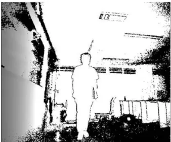 Fig. 4 Depth picture for a plane.