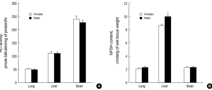 Fig. 1. HO activity (A) and NPSH level (B) in the lung, liver, and brain of control female and male C57BL/6 mice
