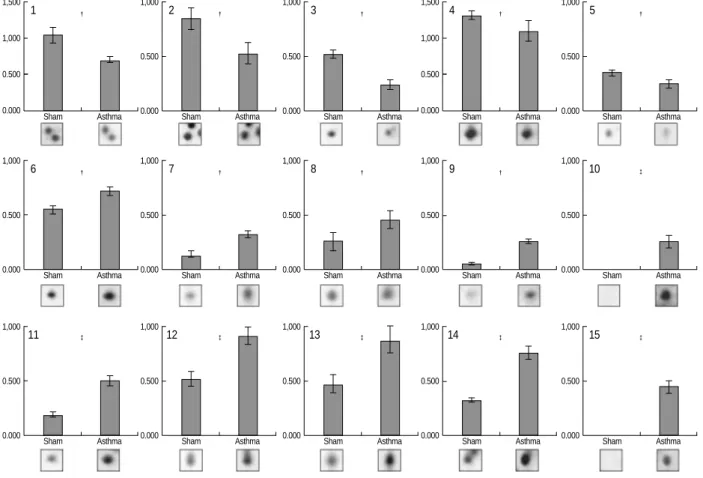 Fig. 4. Protein expression levels were determined by relative intensity using image analysis