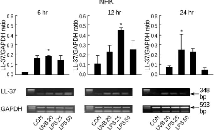 Fig. 1. RT-PCR for LL-37 mRNA from normal human keratinocytes (NHK) at 6 hr, 12 hr, and 24 hr after stimulation