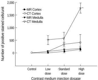 Fig. 4. Quantitative analysis of apoptotic cells per microscopic field in the renal cortex and medulla