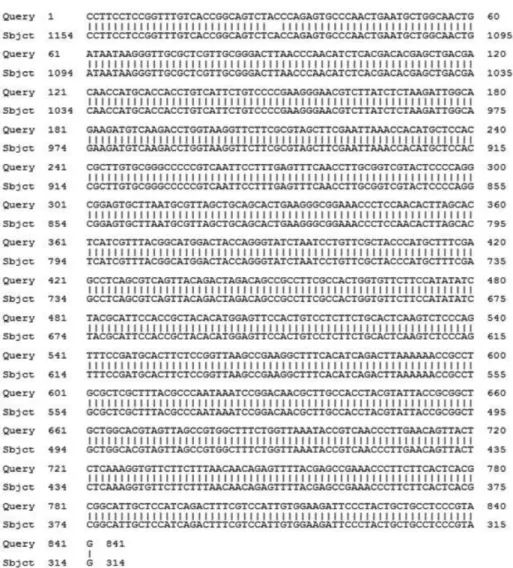 Fig. 3. Growth of  L. brevis CFM11 in MRS broth at different temperatures and time. Means with the different letters (a,b,c,d) at each time are significantly different (p<0.05) according to Duncan’s multiple range test
