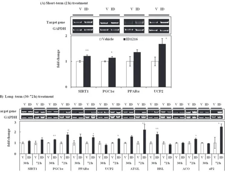 Fig. 3. Effect of ID1216 on the expression of obesity-related genes in matured 3T3-L1 adipocytes