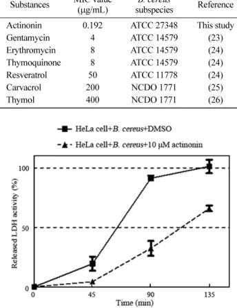 Fig. 3. Determination of lactate dehydrogenase (LDH) release from HeLa cell infected with  Bacillus cereus in the presence or absence of actinonin