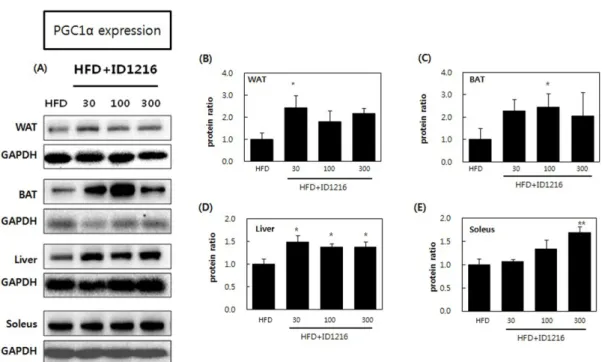 Fig. 3. Effects of ID1216 administration on PGC1 α protein expression in the tissue of HFD-fed mice