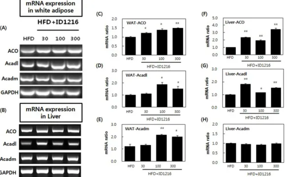 Fig. 5 Effects of ID1216 administration on ACO, Acadl and Acadm mRNA expression in the tissue of HFD-fed mice