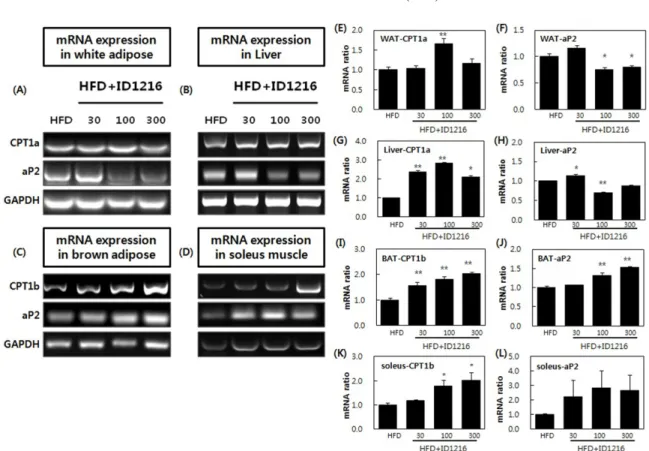 Fig. 7. Effect of ID1216 administration on AMPK phosphory- phosphory-lation in the tissue of HFD-fed mice