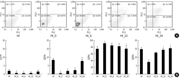 Fig. 1. Representative flow cytogram of an annexin V binding (abscissa) versus propidium iodide (PI) uptake (ordinate) (A) and regional cell percentage (B) in the ipsilateral hemisphere of the newborn rat brain cells at 48 hr after hypoxia-ischemia