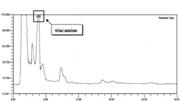 Fig. 3. Typical HPLC chromatogram of vincaminor extract.