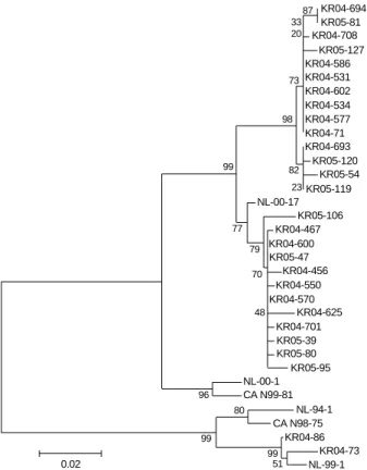 Fig. 1. Human metapneumovirus F gene amplificaion using nested polymerase chain reaction