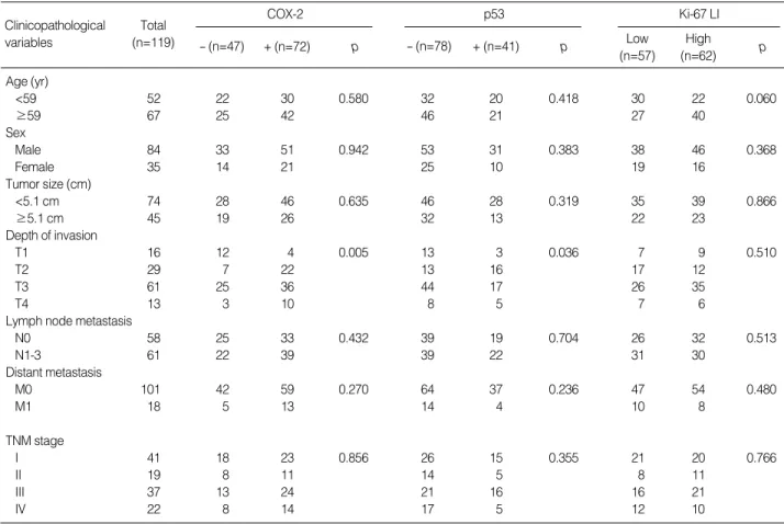 Table 1. Correlation between COX-2, p53 expression and Ki-67 labeling index (LI) and clinicopathological variables of gastric cancers