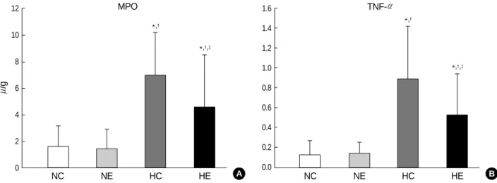 Fig. 5. Myeloperoxidase activity (A) and tumor necrosis factor-a expression (B) in each experimental group