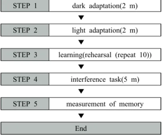 Fig. 1. Procedure of experiment