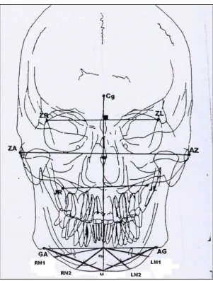 Fig. 1. Landmarks  (by  Grumone).