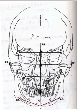 Fig. 2. Comparison  of  the  angles.