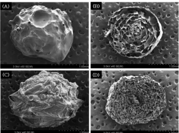 Fig. 5. Changes of pH and acidity in  C. lacerata culture broth co- co-fermented repeatedly using  L