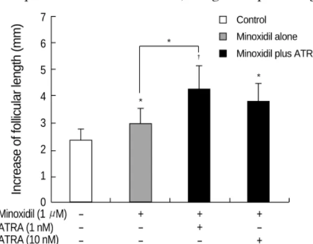 Fig. 1. The effect of minoxidil plus ATRA on hair growth in vitro.