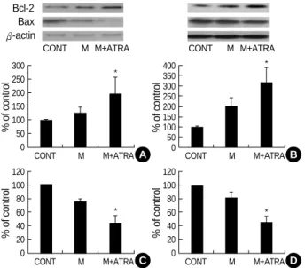 Fig. 5. The effects of minoxidil and ATRA on the expressions of P53 and P21 protein in DPCs and NHK