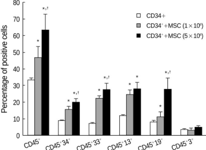 Fig. 3. Effects of MSCs on human UCB 34+ cell engraftment in NOD/SCID mice. Co-transplantation with UCB CD34+ cells and MSCs resulted in higher engraftment levels in NOD/SCID mouse bone marrow 4 weeks after transplantation than after  transplan-tation with