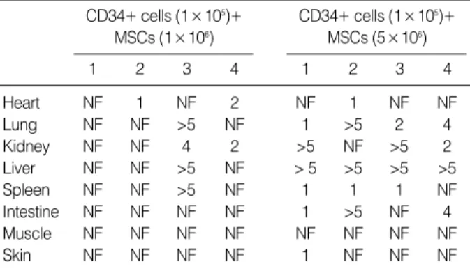 Table 1. Results obtained by FISH for human Y chromosome four weeks after cotransplanting human CD34+ cells and MSCs in various organs of NOD/SCID mice (number of Y chromosome positive cells)