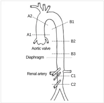 Fig. 1. Schematic illustration of the sites of specimen collection.