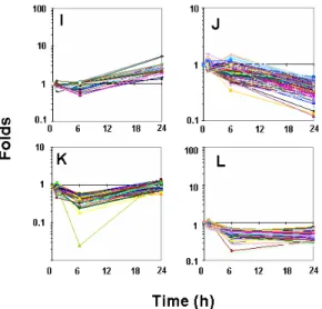 Fig. 4-2. K-mean  clustering  of  IL-1b-responsive  genes  in  SW1353  cells.  Genes  showing  changes  of  more  than  2  folds  in  its  expression  by  IL-1b  treatment  were  clustered  using  Genespring  6.1.