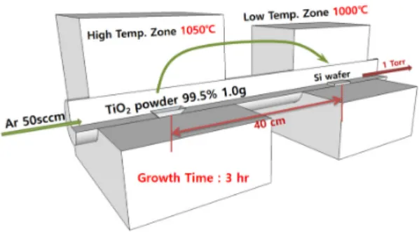 Fig. 1. Schematic diagram of vapor transport method  for vertical growth of amorphous SiO x