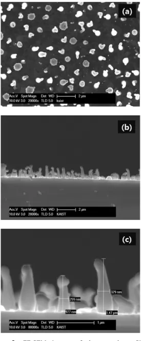 Fig.  2. FE-SEM images of the amorphous SiO x