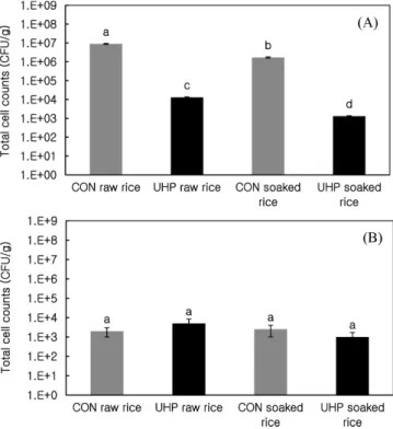 Fig. 2. Field-emission scanning electron micrographs of the cross sections of glutinous rice (A) and brown rice (B) treated with ultra-high pressure (UHP; 500 MPa for 5 min).