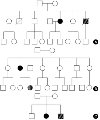 Fig. 4. Direct sequencing of COL3A1 gene revealed a G-to-T tran- tran-sition at cDNA potran-sition 2195 (arrow; c.2195G>T) resulting in a  Gly-732Val missense mutation