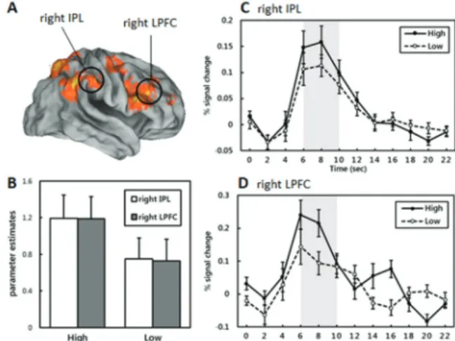 Fig. 2. fMRI results and ROI extraction. (A) Lateral view for brain areas showing significant activation on high versus low reward anticipation and ROIs (right IPL, right LPFC), (B)  graphs representing the parameter estimates of each reward condition in t