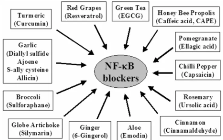 Fig. 3. NF- κ B inhibitors found in dietary agents.