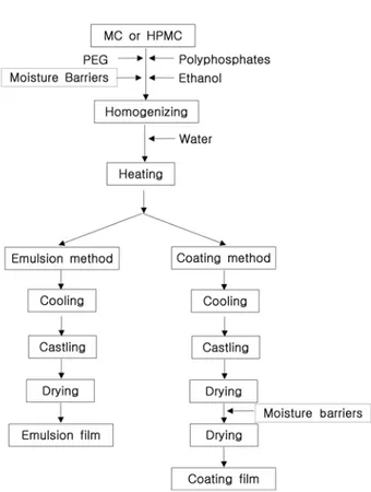 Fig. 1. Preparation of MC and HPMC films using emulsion method and coating method.