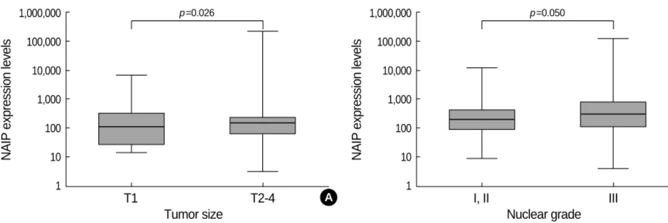 Fig. 3. Expression of NAIP was slightly higher in relapsed patients than in relapse-free patients (266 vs