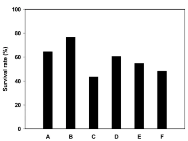 Fig. 1. Effect of the acid exposure on the survival of lactic acid