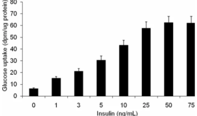 Fig. 1. Insulin-dependent glucose uptake by 3T3-L1 adipocytes.