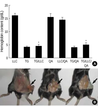 Fig. 7. Angiogenesis in C57BL/6 mice injected with T. gondii, LLC cells or Quil-A. One week after T