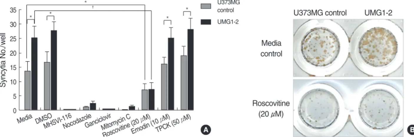 Fig. 2. Roscovitine ameliorates augmented syncytial formation in HSV-1-infected UMG1-2 cells