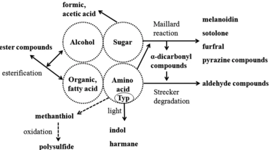 Fig. 1. Changes in the chemical characteristics of rice-based alcoholic beverage during aging.