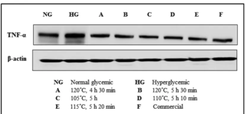 Fig. 3. Effect of onion juices on the expression level of inflammatory proteins (TNF- α) in HG-treated THP-1 cells
