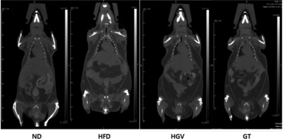 Table 5. Fat weight, liver weight and kidney weight of mice fed experimental diets for 8 weeks