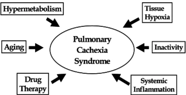 Fig.  3.  The  causes  of  weight  loss  in  chronic  obstructive  pulmonary  diseases.