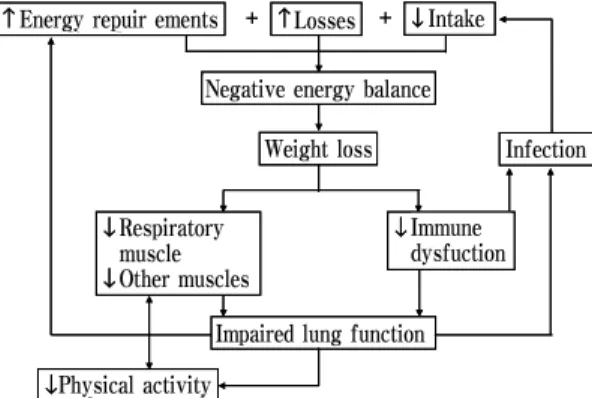 Fig.  4.  Negative  feedback  cycle  between  nutrition  and  lung  function.
