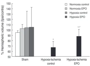 Fig. 1. Stereologic volumetric quantification for histological brain injury at 2 week after insult (P21)