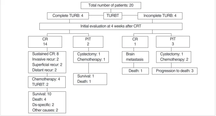 Fig. 1. Treatment outcomes. TURBT, transurethral resection of bladder tumor; CR, complete remission, PIT, persistent invasive tumor; recur, recurrence; Ds, disease
